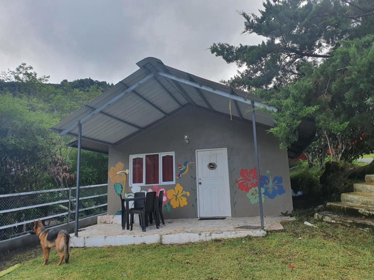 Cabanas Mountain View Volcan Exterior photo